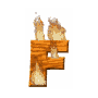 GIF animado (37680) Letra f madera ardiendo
