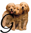 GIF animado (31622) Letra g cachorros