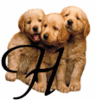 GIF animado (31623) Letra h cachorros