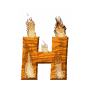 GIF animado (37682) Letra h madera ardiendo