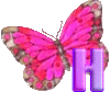GIF animado (30601) Letra h mariposa rosa