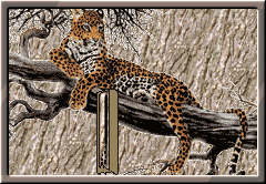 GIF animado (30295) Letra i leopardo