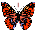 GIF animado (30487) Letra i mariposa