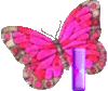 GIF animado (30602) Letra i mariposa rosa