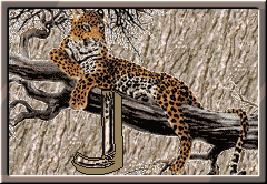 GIF animado (30296) Letra j leopardo