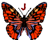 GIF animado (30488) Letra j mariposa