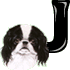 GIF animado (31725) Letra j raza perro