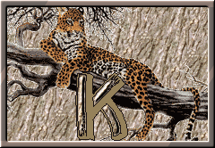 GIF animado (30297) Letra k leopardo