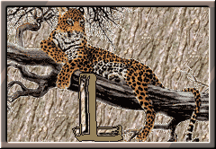 GIF animado (30298) Letra l leopardo