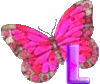 GIF animado (30605) Letra l mariposa rosa