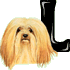 GIF animado (31727) Letra l raza perro