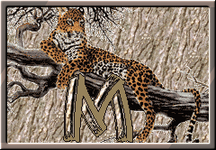 GIF animado (30299) Letra m leopardo