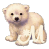 GIF animado (31088) Letra m osito