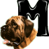 GIF animado (31728) Letra m raza perro