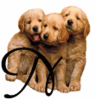 GIF animado (31629) Letra n cachorros