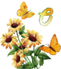 GIF animado (36954) Letra o flores mariposas