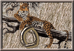 GIF animado (30301) Letra o leopardo