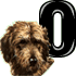 GIF animado (31730) Letra o raza perro
