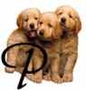 GIF animado (31631) Letra p cachorros