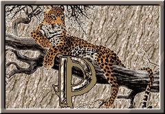 GIF animado (30302) Letra p leopardo