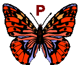 GIF animado (30498) Letra p mariposa