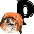 GIF animado (31731) Letra p raza perro