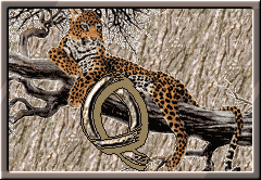 GIF animado (30303) Letra q leopardo