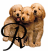 GIF animado (31633) Letra r cachorros