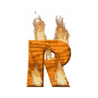 GIF animado (37692) Letra r madera ardiendo