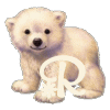 GIF animado (31093) Letra r osito