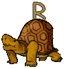 GIF animado (32206) Letra r tortuga
