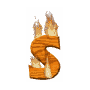 GIF animado (37693) Letra s madera ardiendo