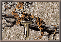GIF animado (30306) Letra t leopardo