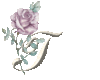 GIF animado (37262) Letra t rosa rosa