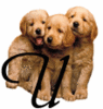 GIF animado (31636) Letra u cachorros