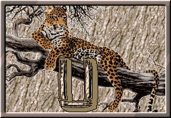 GIF animado (30307) Letra u leopardo