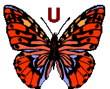 GIF animado (30503) Letra u mariposa