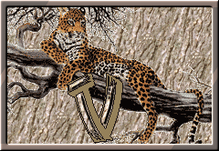 GIF animado (30308) Letra v leopardo