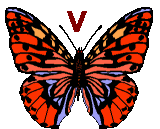 GIF animado (30504) Letra v mariposa