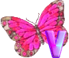 GIF animado (30615) Letra v mariposa rosa