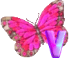 GIF animado (30615) Letra v mariposa rosa