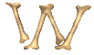 GIF animado (38259) Letra w huesos