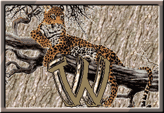 GIF animado (30309) Letra w leopardo