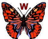 GIF animado (30505) Letra w mariposa