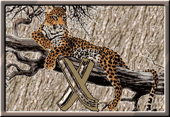 GIF animado (30310) Letra x leopardo