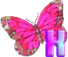 GIF animado (30617) Letra x mariposa rosa