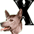 GIF animado (31739) Letra x raza perro