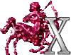 GIF animado (38853) Letra x sagitario