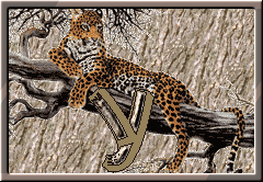 GIF animado (30311) Letra y leopardo