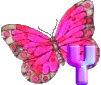 GIF animado (30618) Letra y mariposa rosa